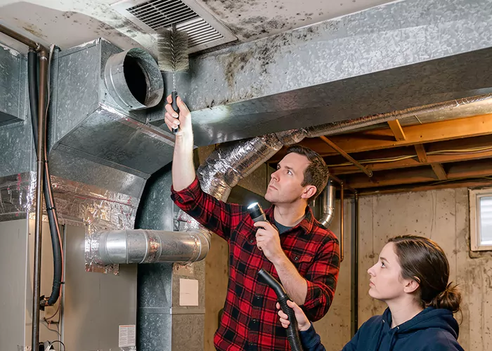 Premier HVAC Mold Remediation Company in Vineland